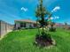 Spacious backyard with manicured lawn and privacy fence at 7729 Rosewood Garden Loop, Tampa, FL 33637