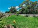 Green backyard features a lush lawn, mature trees, and a white fence at 7729 Rosewood Garden Loop, Tampa, FL 33637