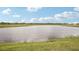 A tranquil pond surrounded by grass and trees at 104 Runaway Field Ave, Nokomis, FL 34275