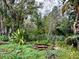 Overgrown backyard with a metal fence at 4823 Steel Dust Ln, Lutz, FL 33559