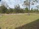 View of the expansive backyard with trees and partial shadow in the foreground at 12263 Cartouche Ave, Punta Gorda, FL 33955