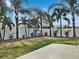 Tropical backyard with palm trees, white vinyl fence, and patio area at 12415 Cedarfield Dr, Riverview, FL 33579