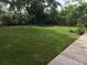 Large backyard with grassy lawn and wooden walkway at 3937 Overlook Ne Dr, St Petersburg, FL 33703