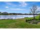 Scenic view of lakefront homes and lush landscaping at 33161 Kateland Dr, Wesley Chapel, FL 33545