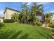 Landscaped backyard with lush tropical plants at 12211 Streambed Dr, Riverview, FL 33579