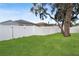 Fenced-in backyard with lush green grass and mature shade trees at 15427 Winter Breeze Ln, Wimauma, FL 33598