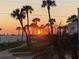 Scenic beach view with silhouetted palm trees against a vibrant sunset near Gulf Twin Towers at 500 The Esplanade N # 405, Venice, FL 34285