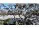 Charming single-story home with well-maintained landscaping and mature trees at 4215 Edgewood Dr, Holiday, FL 34691