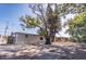 Spacious backyard with mature trees offering ample shade and privacy at 3818 Moog Rd, Holiday, FL 34691