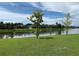 Scenic backyard featuring a tranquil lake view and lush green grass at 7037 Towering Spruce Dr, Riverview, FL 33578