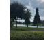 Scenic lake view with lush greenery, mature trees, and a serene atmosphere at 7037 Towering Spruce Dr, Riverview, FL 33578