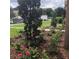 Landscaped front yard with lush flower beds, mulch, and vibrant greenery at 7037 Towering Spruce Dr, Riverview, FL 33578