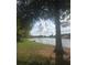 Scenic view of a tranquil pond surrounded by lush greenery and mature trees at 7037 Towering Spruce Dr, Riverview, FL 33578