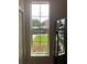 Window view of landscaped yard with pink flowers and green grass at 7037 Towering Spruce Dr, Riverview, FL 33578