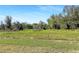 Backyard view featuring lush green grass, trees, and shrubbery at 14853 Crescent Rock Dr, Wimauma, FL 33598