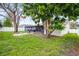 Green backyard featuring a large tree and patio area at 6731 Ranger Dr, Tampa, FL 33615