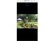 Community entrance sign amidst landscaped greenery, enhancing the neighborhood's curb appeal at 12209 Putter Green Ct, New Port Richey, FL 34654