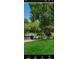 A grassy yard with a small building tucked away surrounded by lush trees at 12209 Putter Green Ct, New Port Richey, FL 34654