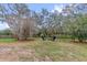 Spacious backyard featuring mature trees, lawn, and outdoor seating area with two blue Adirondack chairs at 2727 Brookville Dr, Valrico, FL 33596