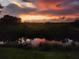 Scenic water view at sunset features a wooden dock and lush greenery at 373 Hile Ln, Punta Gorda, FL 33982