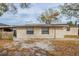 Back of home featuring a flat backyard and neutral paint at 8528 Gold Ridge Cir, Tampa, FL 33619