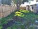The backyard features mature trees, offering shade and a natural setting, with a storage shed at 6220 Keller Dr, Port Richey, FL 34668