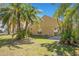 Lush backyard with mature palm trees providing shade and privacy at 7622 Hampshire Garden Pl, Apollo Beach, FL 33572