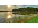 Scenic view of the community pond, with lush greenery and a sunrise reflection at 3603 Lajuana Blvd, Wesley Chapel, FL 33543