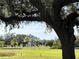 Scenic view of the golf course with mature trees and lush green fairways at 1000 Cove Cay Dr # 5E, Clearwater, FL 33760