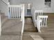 Bright staircase featuring carpeted steps and white banisters leading to a landing with wood-look flooring at 3305 Acapulco Dr, Riverview, FL 33578