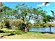 Picturesque lake view under a mature tree with lush green lawn, and serene lake at 3672 Lake Bayshore Dr # K327, Bradenton, FL 34205