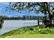 Scenic view of the lake with lush shoreline and nearby apartment buildings, perfect for nature lovers at 3672 Lake Bayshore Dr # K327, Bradenton, FL 34205
