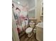 Bathroom featuring a flamingo-themed shower curtain, toilet and vanity sink at 424 N Carolina Ave, Palm Harbor, FL 34683