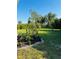 Spacious backyard with lush green grass and mature trees, offering privacy at 7343 N Ficus Tree, Punta Gorda, FL 33955