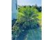 Lush landscaping with a variety of colorful tropical plants and a palm tree at 7343 N Ficus Tree, Punta Gorda, FL 33955