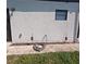 Close up of the white, textured exterior of the home with a hose at 201 Ravenna N St, Nokomis, FL 34275