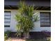 Lush exterior landscaping featuring mature plants against the backdrop of the home's windows at 201 Ravenna N St, Nokomis, FL 34275