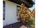 Landscaped side exterior with colorful plant, window, and stucco wall under the home's soffit at 201 Ravenna N St, Nokomis, FL 34275