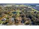 Expansive aerial view of a charming home nestled among mature trees in a serene, semi-rural neighborhood at 32589 Greenwood Loop, Wesley Chapel, FL 33545