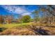 Backyard with lots of greenery and trees with a screened-in back porch at 32589 Greenwood Loop, Wesley Chapel, FL 33545
