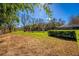 Expansive backyard showing green grass with trees around the perimeter of the lot lines at 32589 Greenwood Loop, Wesley Chapel, FL 33545