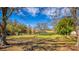 A huge green backyard of the property surrounded by greenery and trees with a screened-in back porch at 32589 Greenwood Loop, Wesley Chapel, FL 33545