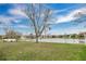 Backyard featuring green grass, a large tree, and a pond at 15121 Searobbin Dr, Lakewood Ranch, FL 34202