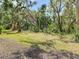 A tranquil backyard with lush trees, greenery, and a serene setting at 8539 Sandpiper Ridge Ave, Tampa, FL 33647