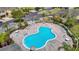 Aerial view of community pool with chairs, umbrellas, and manicured landscaping at 8539 Sandpiper Ridge Ave, Tampa, FL 33647