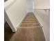 Carpeted staircase with white walls and trim leads to the upper level of the home at 32100 Pop Ash Pl, San Antonio, FL 33576
