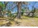 Residential backyard features mature trees for shade at 3720 E Idlewild Ave, Tampa, FL 33610