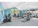 Well-equipped fitness center with various cardio machines and large windows at 5729 Baywater Dr # 5729, Tampa, FL 33615