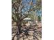 Serene backyard featuring a gazebo, lush trees, and a nature retreat at 12403 Snowy Egret Ave, Weeki Wachee, FL 34614