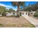 Charming single-story home featuring a concrete driveway and front yard with large tree at 3307 W Ballast Point Blvd, Tampa, FL 33611